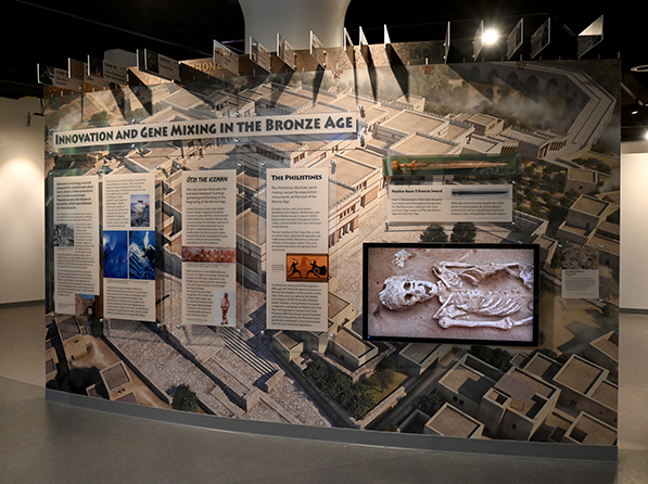 curved wall with timeline with signs noting important events since 3500 bc, exhibition labels, bronze sword in a case, and a touchscreen display.